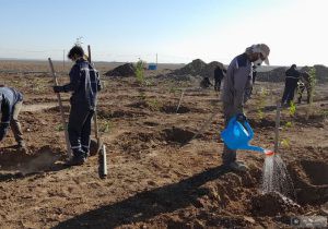 آغاز اجرای طرح مردمی کاشت یک میلیارد درخت در نایین
